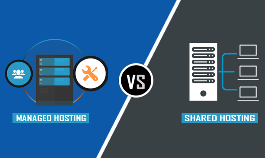 All you Need to Know: Shared vs Managed WordPress Hosting